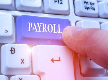 Kavramsal el Bordro gösterilen yazma. İş fotoğraf metin toplam miktarı para şirket çalışanlarına maaş ödeme öder.