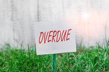 Word writing text Overdue. Business concept for loans and other obligations remaining unpaid past their due Plain empty paper attached to a stick and placed in the green grassy land.