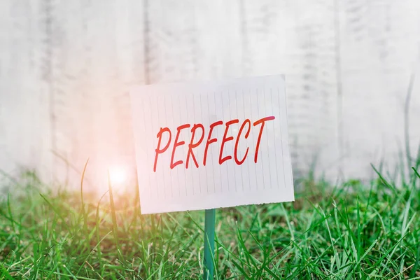 Word writing text Perfect. Business concept for Having all required desirable elements qualities characteristics Plain empty paper attached to a stick and placed in the green grassy land. — Stock Photo, Image