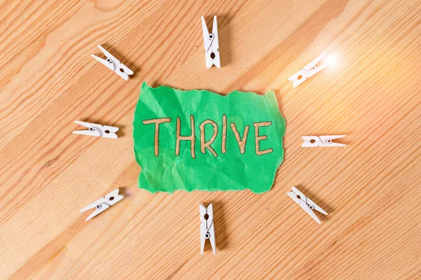 Text sign showing Thrive. Conceptual photo Think positively Continue to prosper and flourish Time to Blossom Colored clothespin papers empty reminder wooden floor background office. — 스톡 사진
