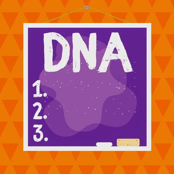 Text sign showing Dna. Conceptual photo a selfreplicating material wpresent in nearly all living organisms Asymmetrical uneven shaped format pattern object outline multicolour design. — Zdjęcie stockowe