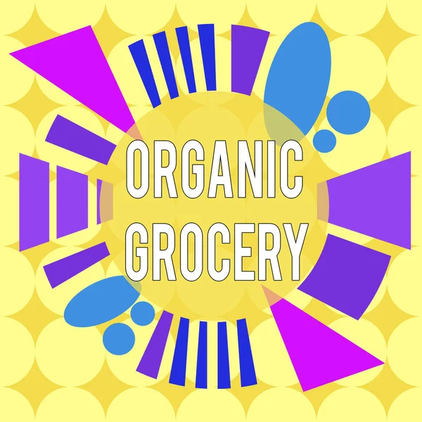 Conceptual hand writing showing Organic Grocery. Business photo text market with foods grown without the use of fertilizers Asymmetrical format pattern object outline multicolor design. — Stockfoto