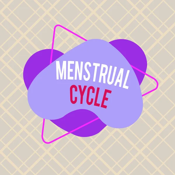 Writing note showing Menstrual Cycle. Business photo showcasing monthly cycle of changes in the ovaries and uterus lining Asymmetrical format pattern object outline multicolor design. — ストック写真