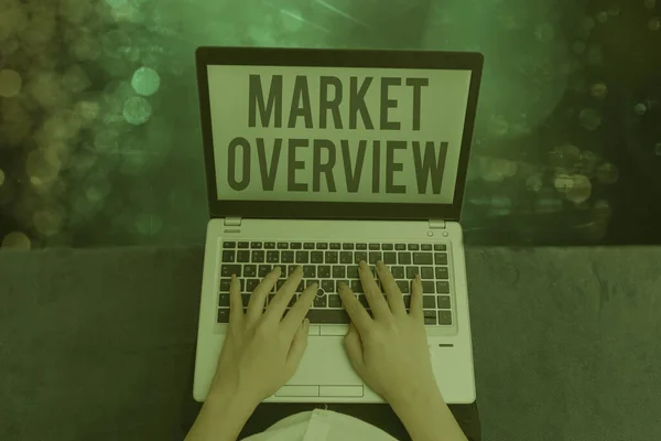 Tekst schrijven Marktoverzicht. Bedrijfsconcept voor een kort overzicht van een commerciële of industriële markt. — Stockfoto