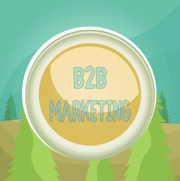 Word writing text B2B Marketing. Business concept for marketing of products to businesses or other organizations Circle button colored sphere switch center background middle round shaped. — Φωτογραφία Αρχείου