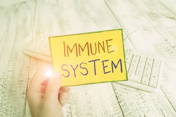 Handwriting text Immune System. Concept meaning host defense system comprising many biological structures man holding colorful reminder square shaped paper white keyboard wood floor. — Stock Photo, Image