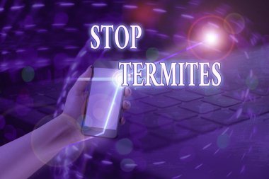 Word writing text Stop Termites. Business concept for prevent a small tropical insect from damaging the woods.