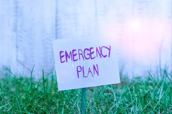 Text sign showing Emergency Plan. Conceptual photo course of action to mitigate the damage of potential events Plain empty paper attached to a stick and placed in the green grassy land. — Φωτογραφία Αρχείου