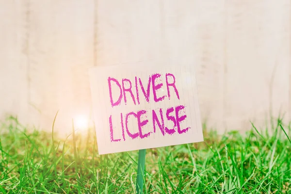 Text sign showing Driver License. Conceptual photo a document permitting a demonstrating to drive a motor vehicle Plain empty paper attached to a stick and placed in the green grassy land. — Stockfoto