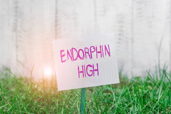 Teksten met Endorphin High erop. Conceptuele foto leiden tot een positief gevoel in het lichaam als die van morfine Plain leeg papier bevestigd aan een stok en geplaatst in het groene grasland. — Stockfoto