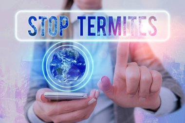 El yazısı metin yazma Stop Termites. Kavram anlamı küçük bir tropik böceğin ormana zarar vermesini önlemek.