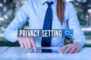 Writing note showing Privacy Setting. Business photo showcasing limit the access of profile and what information can see Female business person sitting by table and holding mobile phone.