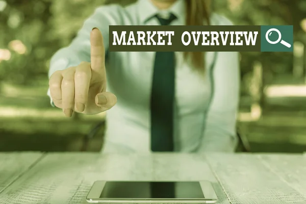 Word writing text Market Overview. Business concept for brief synopsis of a commercial or industrial market Female business person sitting by table and holding mobile phone.