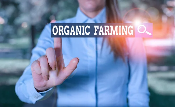 Schriftzug, der den ökologischen Landbau zeigt. Geschäftsfoto, das landwirtschaftliche Systeme mit ökologischem Schädlingsbekämpfungsmittel zeigt Frau im blauen Hemd zeigt mit dem Finger ins Leere. — Stockfoto