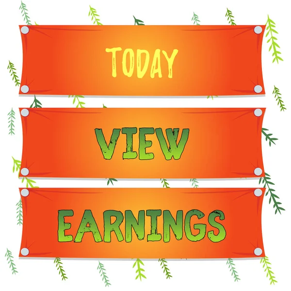 Handwriting text View Earnings. Concept meaning To see the balance of revenue after deduction of expenses Wooden panel attached nail colorful background rectangle lumber plank wood. — Zdjęcie stockowe