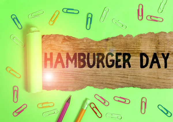 Écriture manuscrite écrit Hamburger Day. Concept signifiant célèbre l'histoire de ce plus irrésistible des sandwichs . — Photo