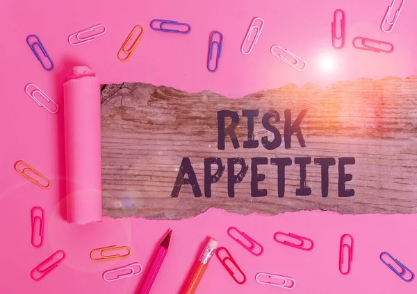 Handwriting text Risk Appetite. Concept meaning the level of risk an organization is prepared to accept. — Stockfoto