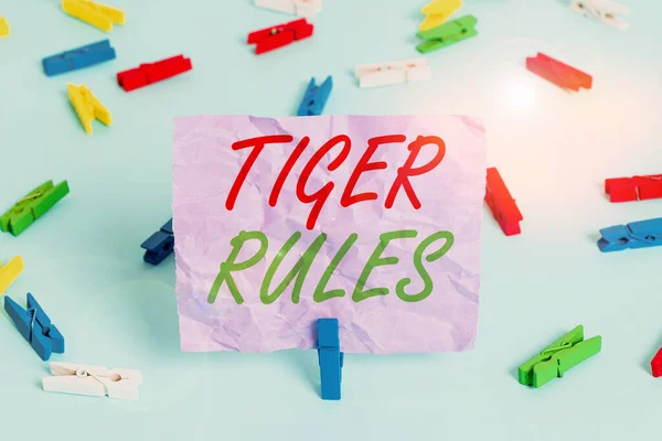 Word writing text Tiger Rules. Business concept for Willpower and demonstratingal strength Resistance to imperial rule Colored clothespin papers empty reminder blue floor background office pin.