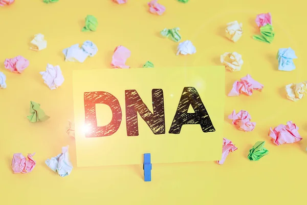 Segnale che mostra il DNA. Foto concettuale un materiale auto-replicante presente in quasi tutti gli organismi viventi Carte colorate accartocciate vuoto promemoria fondo bianco molletta . — Foto Stock