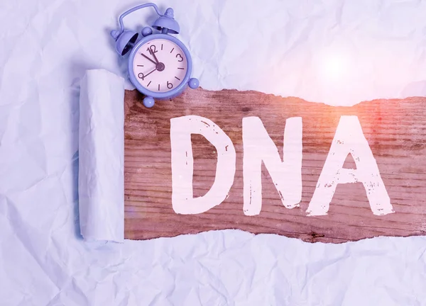 Word writing text Dna. Business concept for a selfreplicating material wpresent in nearly all living organisms Alarm clock and torn cardboard placed above a wooden classic table backdrop. — Stockfoto