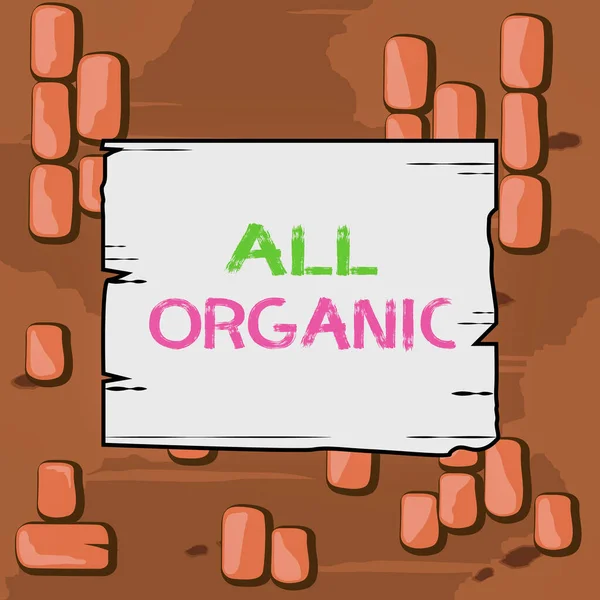 Текст для написания слов All Organic. Бизнес-концепция для пищевых продуктов, которые не были обработаны синтетическими пестицидами Деревянная квадратная доска пустые каркасные пазы деревянные панели цветные доски . — стоковое фото