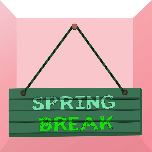 Conceptual hand writing showing Spring Break. Business photo text week s is vacation for students in the spring typically at Easter Wood plank nail pin colorful background wooden panel fixed. — Stock Photo, Image