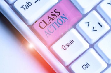 Kelime yazma Sınıf Eylemi. Büyük bir grup adına hareket eden küçük bir grup tarafından açılan dava konsepti.