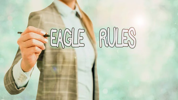 Writing note showing Eagle Rules. Business photo showcasing a huge set of design rules which your layout needs to pass. — Stock Photo, Image