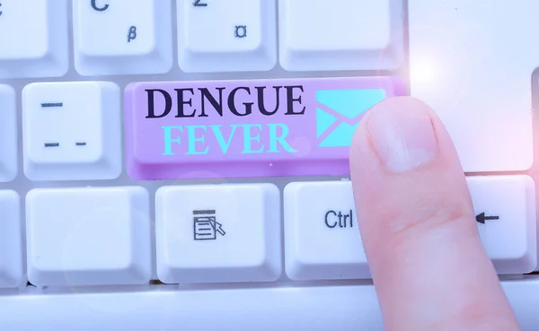 Λέξεις κείμενο Dengue Πυρετός. Επιχειρηματική έννοια για μολυσματικές ασθένειες που προκαλούνται από έναν ιό φλαβυρίνθου ή aedes κουνούπια. — Φωτογραφία Αρχείου