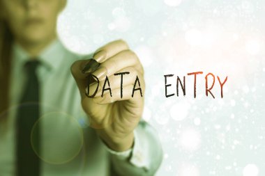 Word writing text Data Entry. Business concept for process of inputting data or information into the computer.