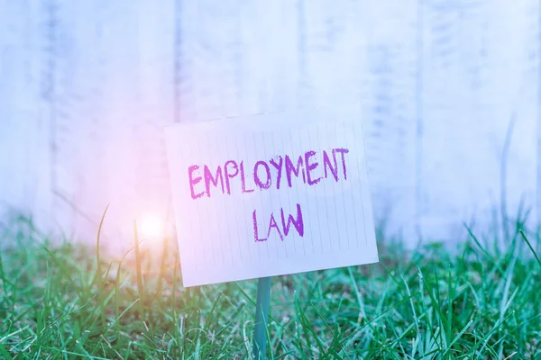 显示《就业法》的文字标志。概念照片是关于雇主和雇员的法定权利和义务的普通空白纸，贴在一根棍子上，放在绿草丛生的土地上. — 图库照片