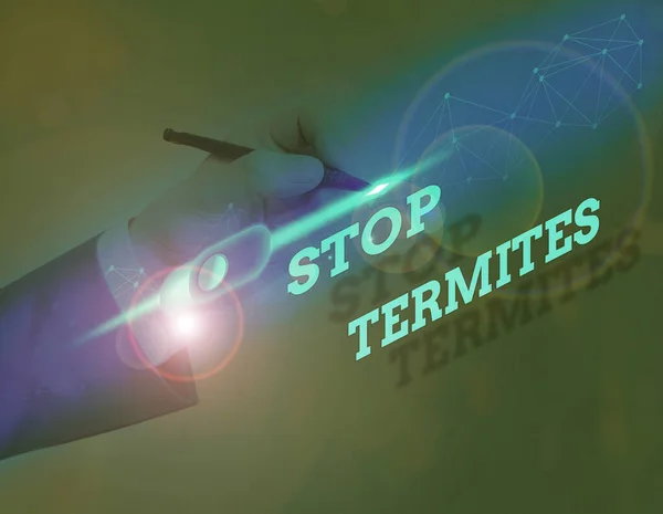 Signo de texto que muestra Stop Termites. La foto conceptual evita que un pequeño insecto tropical dañe el bosque . — Foto de Stock