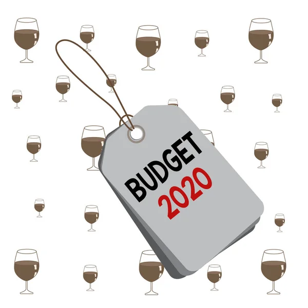 Text sign showing Budget 2020. Conceptual photo estimate of income and expenditure for next or current year Label rectangle empty badge attached string colorful background tag small.