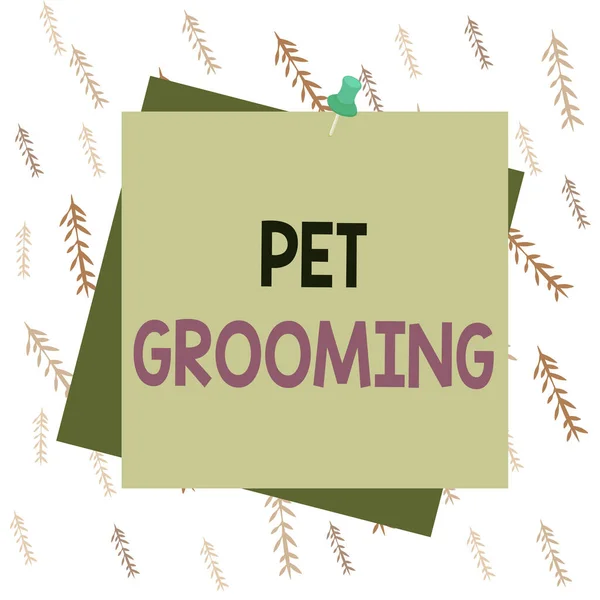 Scrivere testi a mano Pet Grooming. Concetto che significa cura igienica e migliorare l'aspetto degli animali domestici Promemoria colore sfondo puntina pollice memo allegata ufficio pin quadrato . — Foto Stock