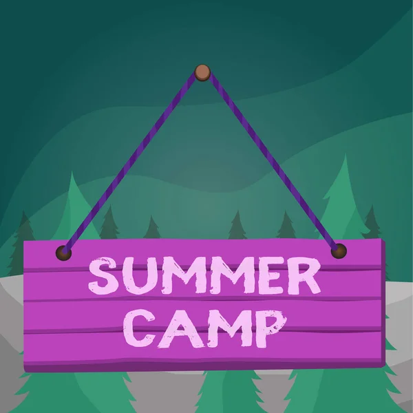 Word writing text Summer Camp. Business concept for supervised program for children conducted during the summer Wood plank nail pin string board colorful background wooden panel fixed. — Stock Photo, Image