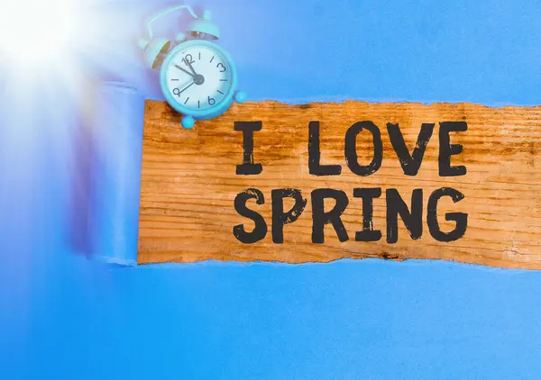 Word writing text I Love Spring. Business concept for telling why having a strong affection to this season. — Stock Photo, Image