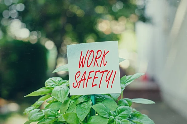 Writing note showing Work Safety. Business photo showcasing policies and procedures in place to ensure health of employees Plain paper attached to stick and placed in the grassy land.