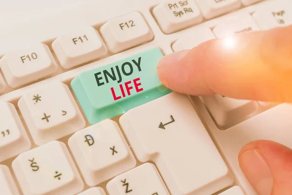 Conceptuele handschrift toont Enjoy Life. Zakelijke foto presentatie met een gelukkig gezichtspunt en een positieve kijk op het leven. — Stockfoto