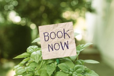 Kavramsal el yazısı şimdi kitabı gösteriyor. İş fotoğraflarının gösterileceği kesin çünkü siz çoktan satın almışsınız. Yapışkan ve çimenli topraklara yapıştırılmış düz kağıt..