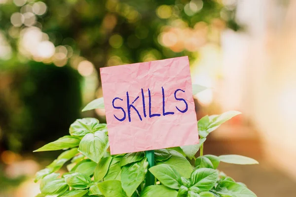 Scrittura concettuale a mano che mostra le abilità. Business foto in mostra capacità di fare qualcosa di molto bene per natura Carta normale attaccata al bastone e posto nella terra erbosa . — Foto Stock