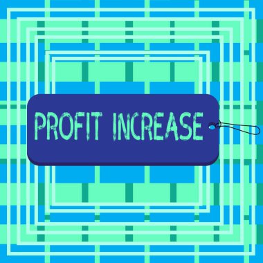 Profit Increase 'i gösteren metin işareti. Kavramsal fotoğraf bir şirket etiketi dikdörtgeninden elde edilen gelir miktarı boş uzay dizgisi şeklinde renklendirilmiş arka plan.
