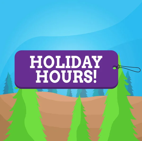Word writing text Holiday Hours. Business concept for employee receives twice their normal pay for all hours Label tag badge rectangle shaped empty space string colorful background. — Stock Photo, Image