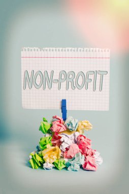 Non Profit 'i gösteren bir not yazıyorum. Sahiplerine kar getirmeyen iş fotoğrafçılığı türü bir organizasyon. Renkli, buruşuk kağıt çamaşır mandalı yığınını hatırlat..