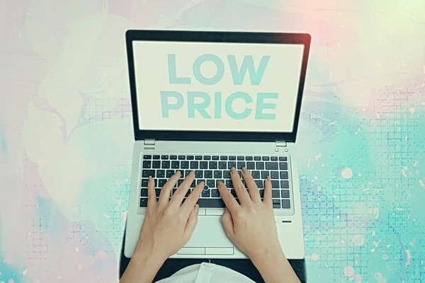 Text sign showing Low Price. Conceptual photo Price are the lowest in relation to other things of same kind.
