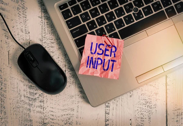 Writing note showing User Input. Business photo showcasing Any information or data that is sent to a computer for processing Trendy metallic laptop crushed colored paper note pen on wooden table.