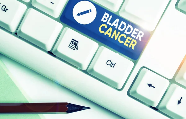 Conceptual hand writing showing Bladder Cancer. Business photo showcasing form of cancer that begins in the lining of the bladder.