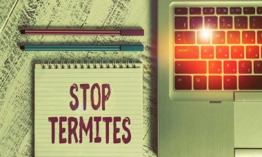 Writing note showing Stop Termites. Business photo showcasing prevent a small tropical insect from damaging the woods Metallic laptop blank ruled notepad pens lying old wooden vintage table.
