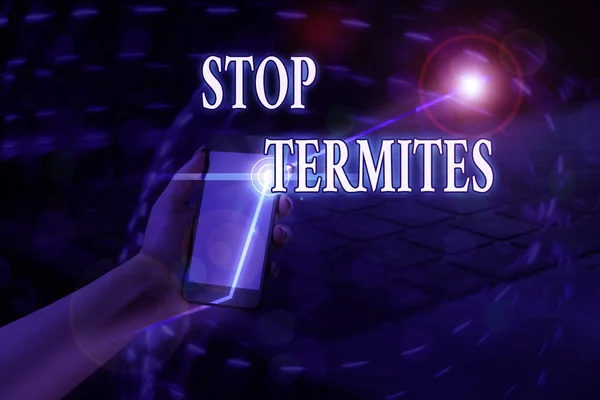 Texto de escritura de palabras Stop Termites. Concepto de negocio para evitar que un pequeño insecto tropical dañe los bosques . — Foto de Stock