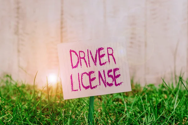 Text sign showing Driver License. Conceptual photo a document permitting a demonstrating to drive a motor vehicle Plain empty paper attached to a stick and placed in the green grassy land. — Stockfoto