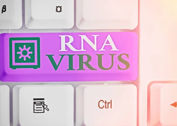 Conceptual hand writing showing Rna Virus. Business photo showcasing a virus genetic information is stored in the form of RNA.